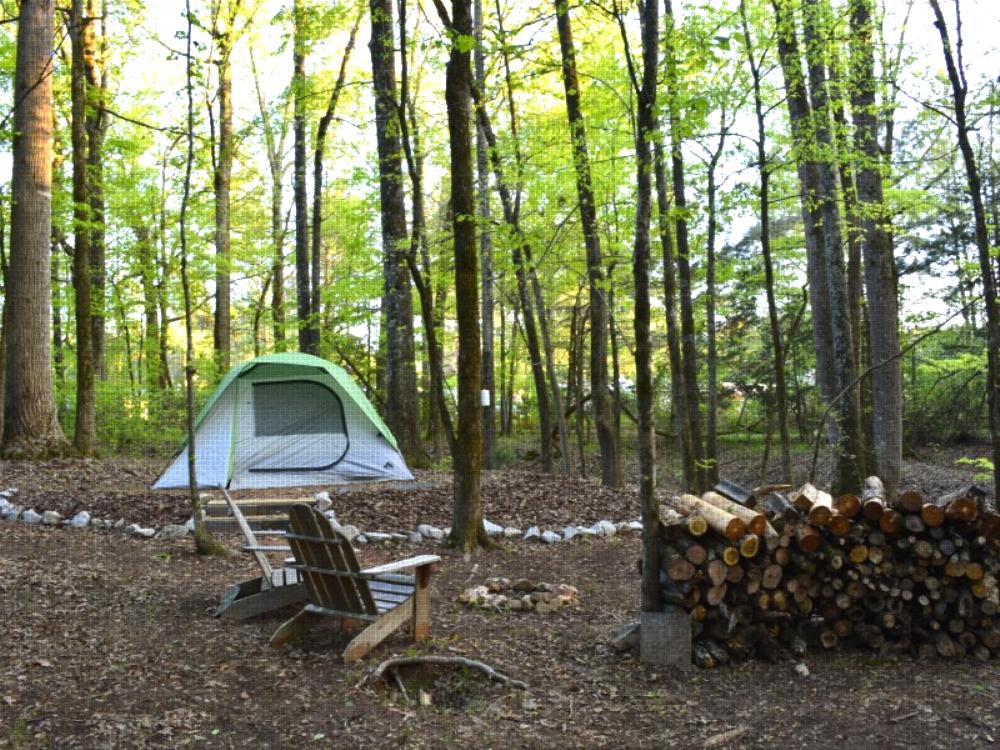 Tent at site Skull Shoals Park & Campground