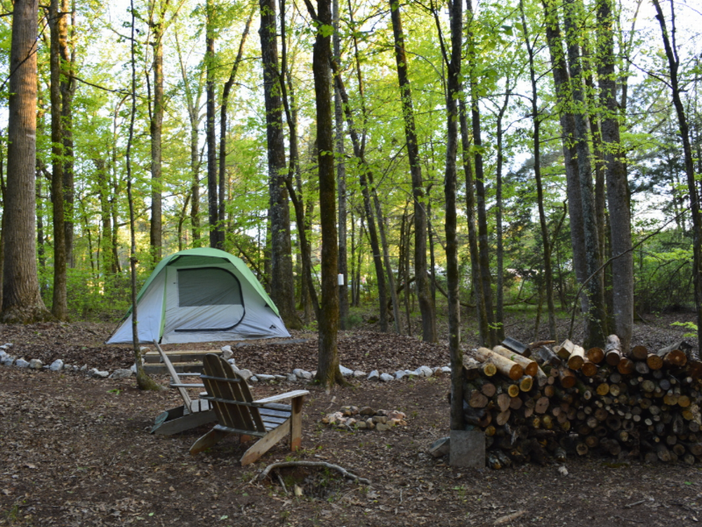 A tent and stack of firewood at Skull Shoals Park & Campground