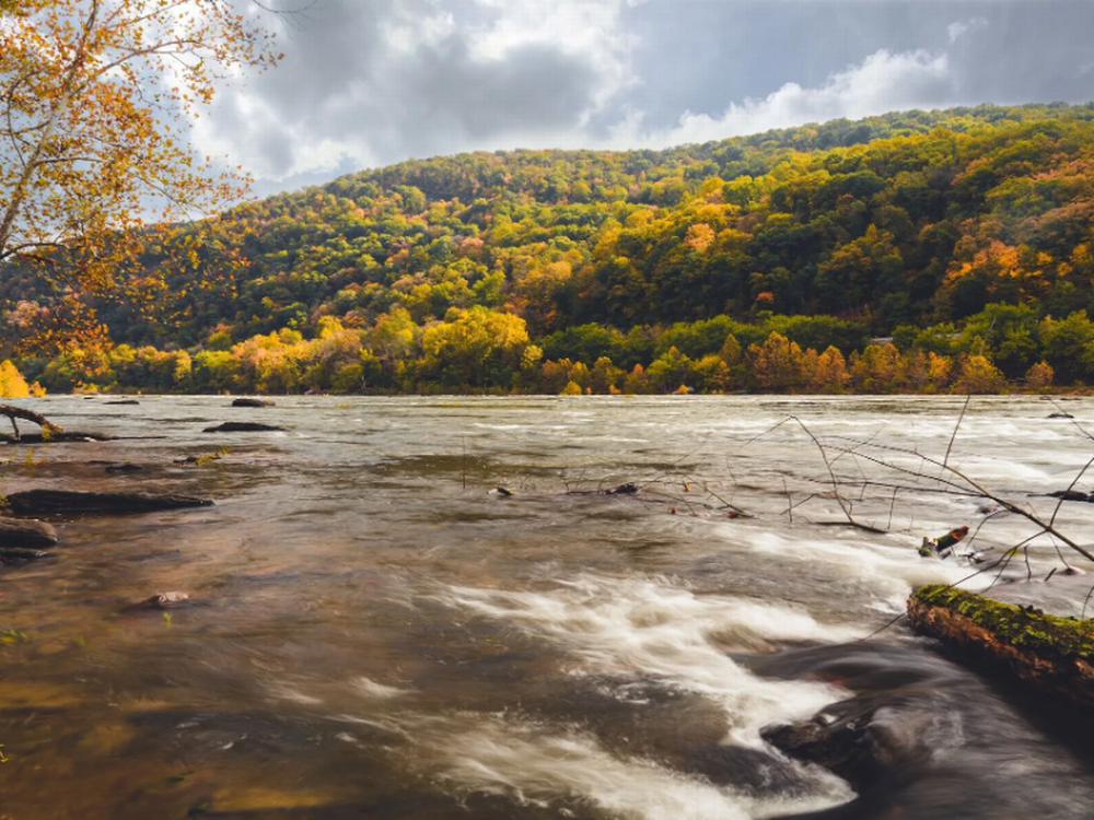 View of fall trees on a hill from the river at Country Roads Campground