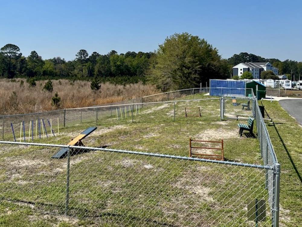 The dog park