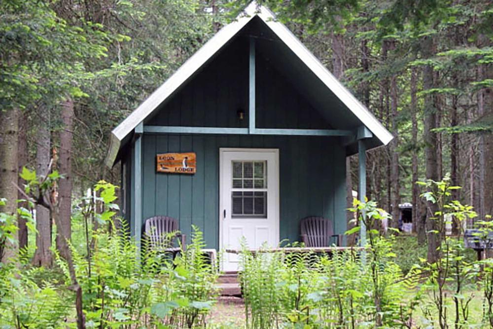 A cabin surrounded by trees and ferns