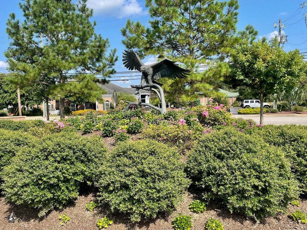 Trees and shrubs at a site
