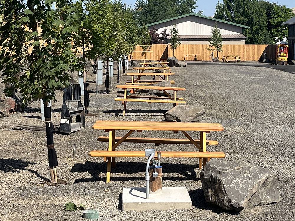 A row of RV sites with picnic tables