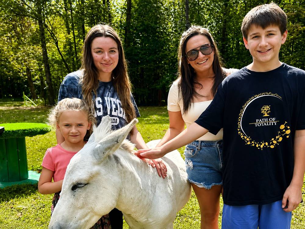 A family petting a donkey