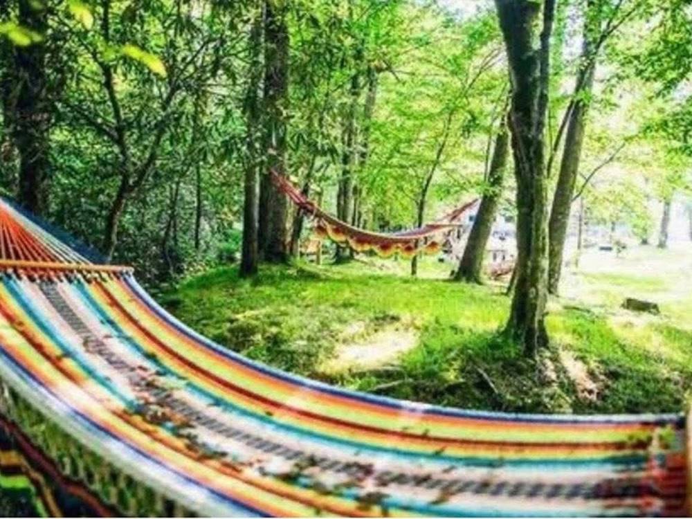 Hammocks in a shaded area