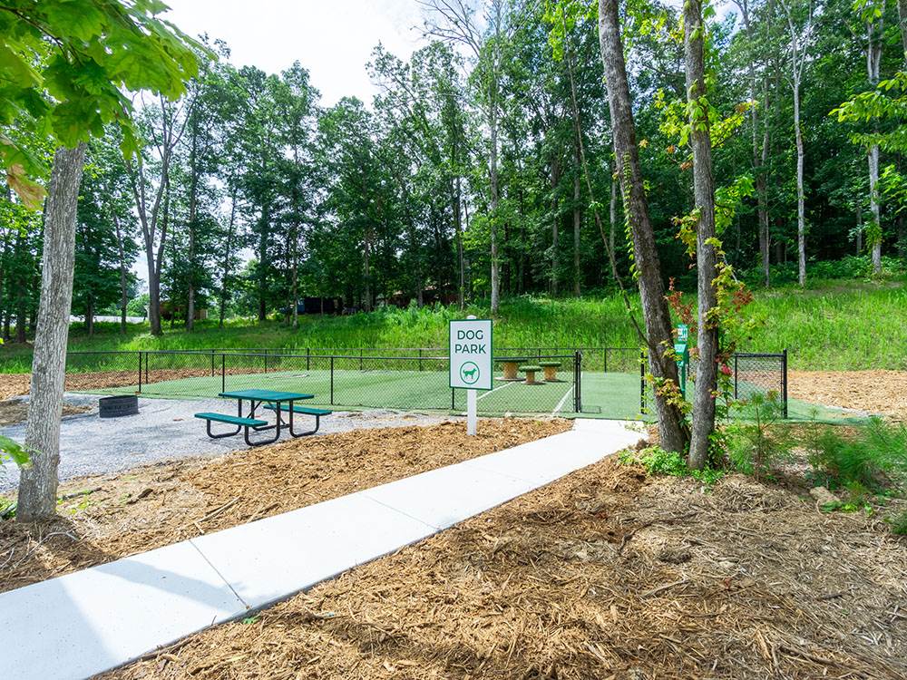 The enclosed dog park