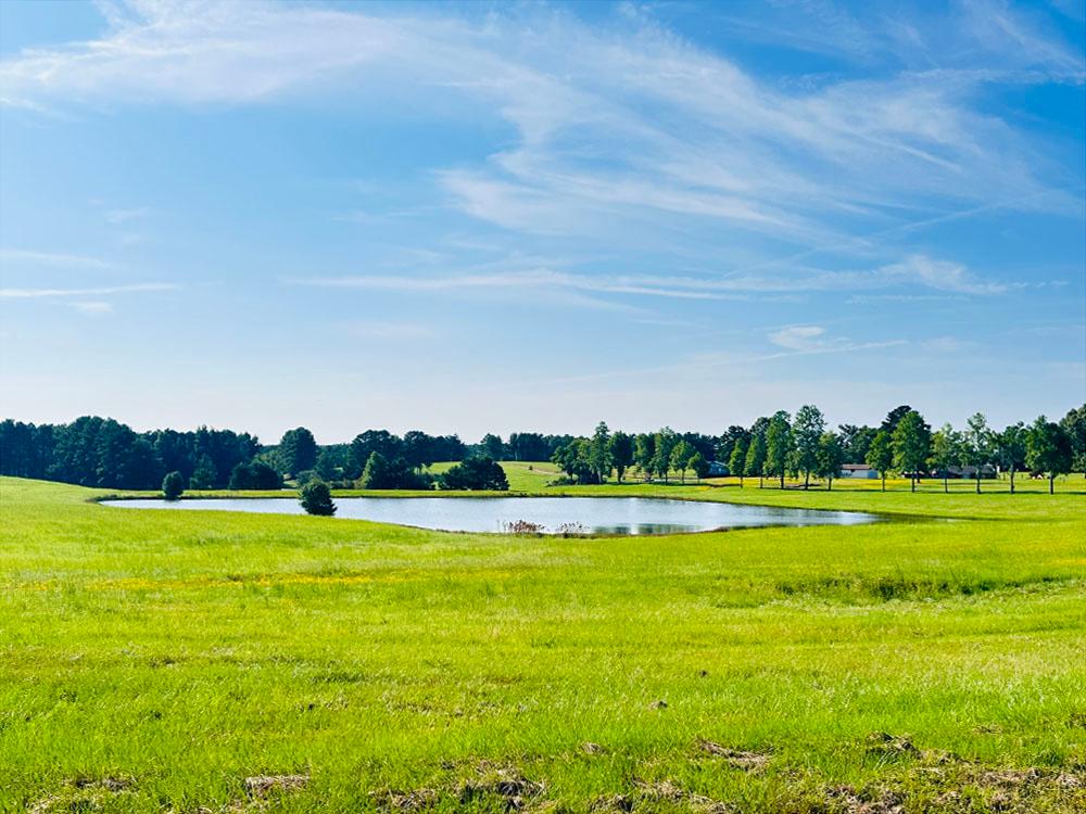 Grassy area near the water