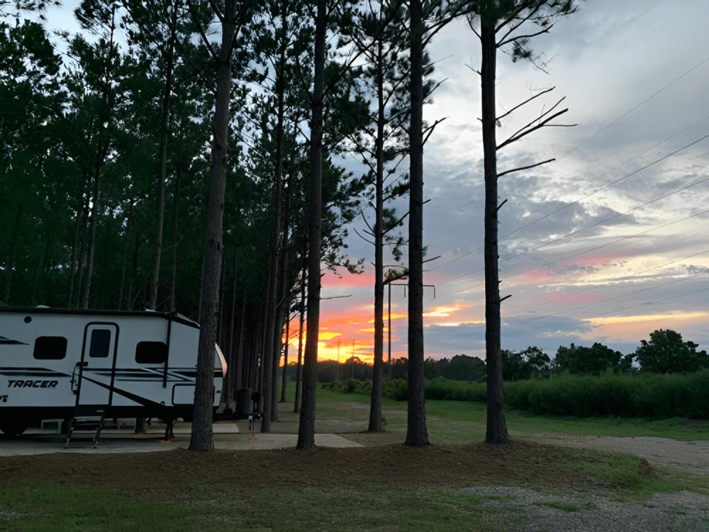 Parked RV at American Robin RV Park & Bird Sanctuary