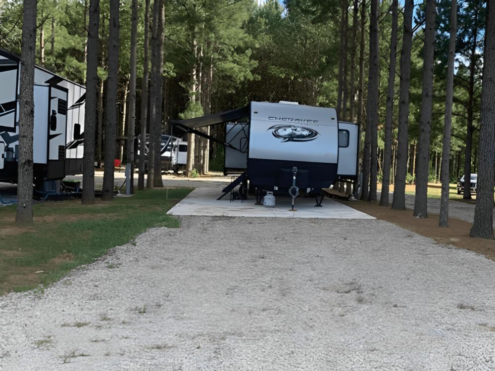 Parked RV at American Robin RV Park & Bird Sanctuary