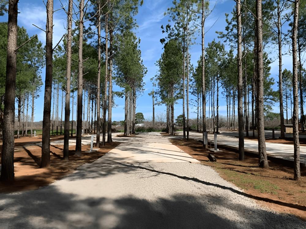 Open RV space at American Robin RV Park & Bird Sanctuary