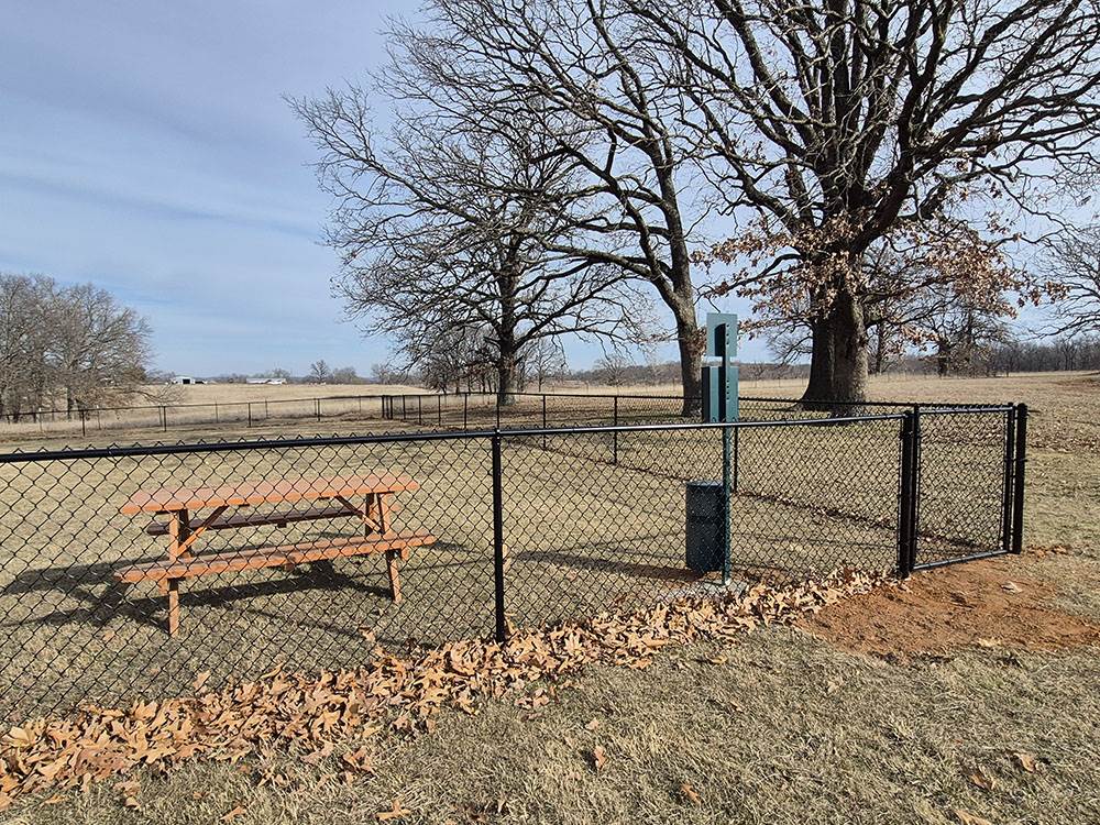 The dog park