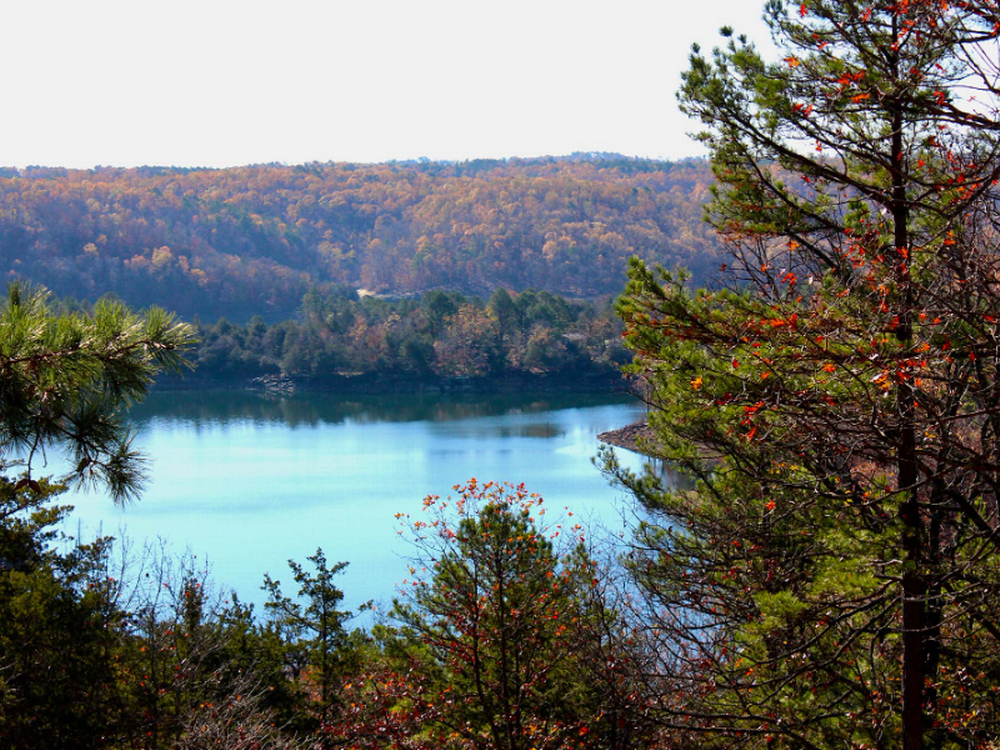 View of the water at Beaver Lake Glamping & RV Resort