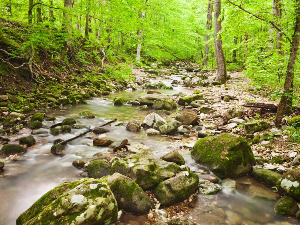 Creek at Beaver Lake Glamping & RV Resort