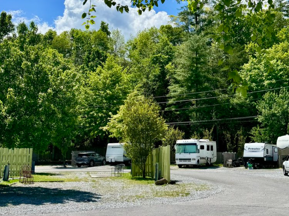 Shady sites at Holy Smokies RV Park and Glamping