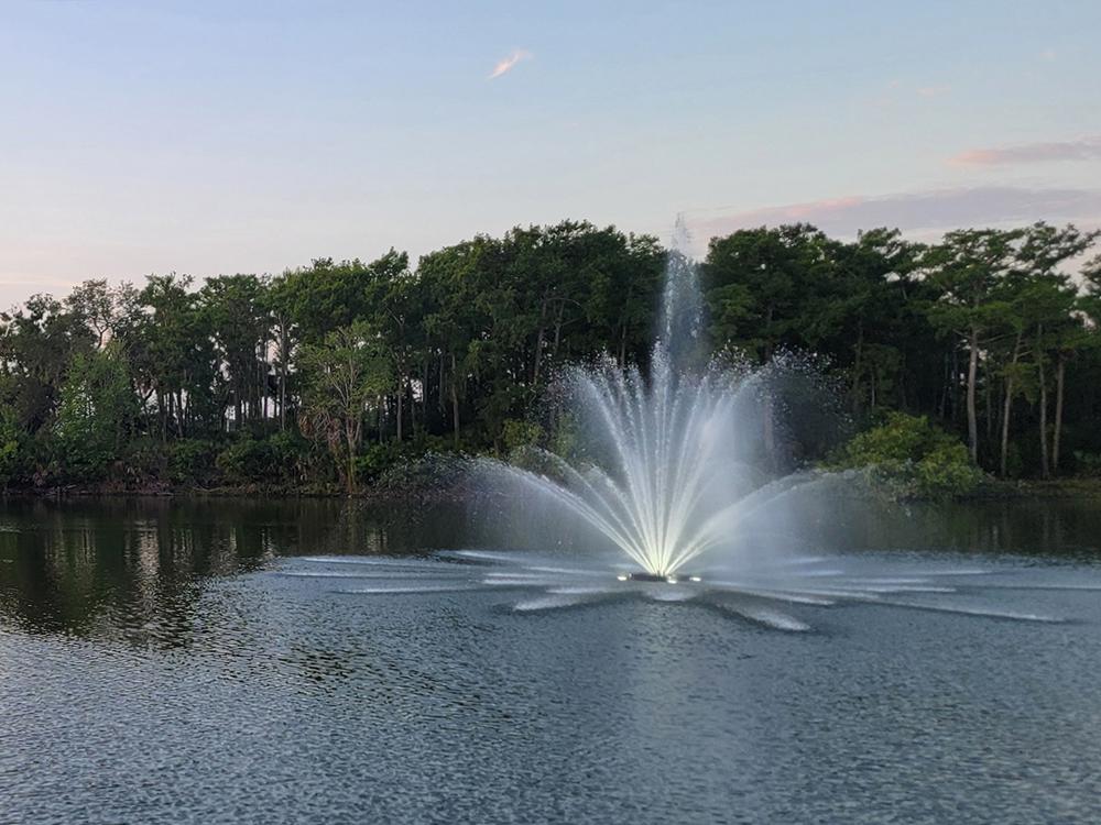 A fountain in the lake