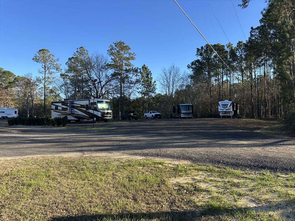RVs parked in shaded RV sites