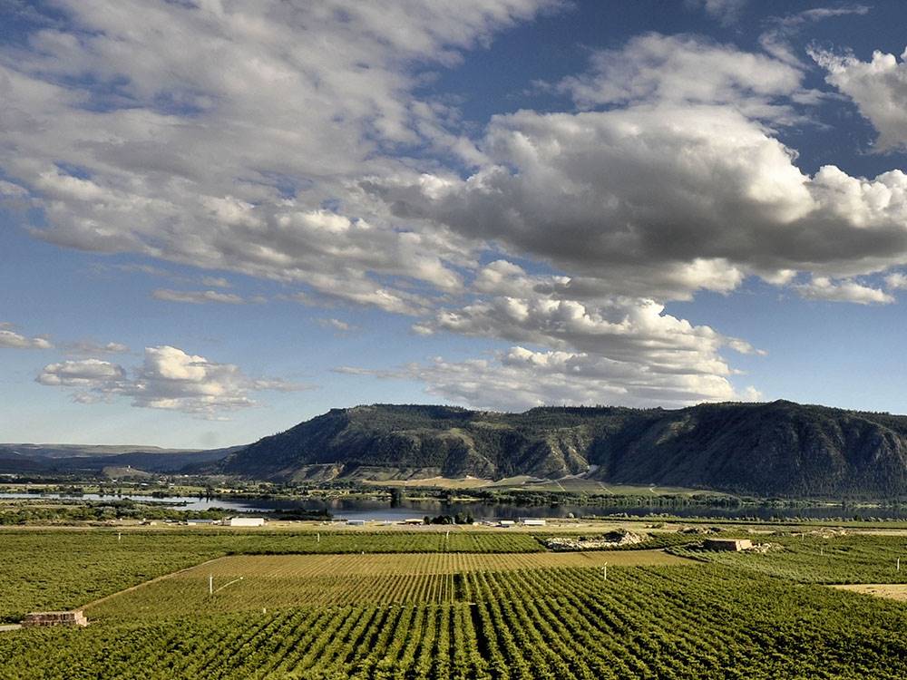 Aerial view of campground area