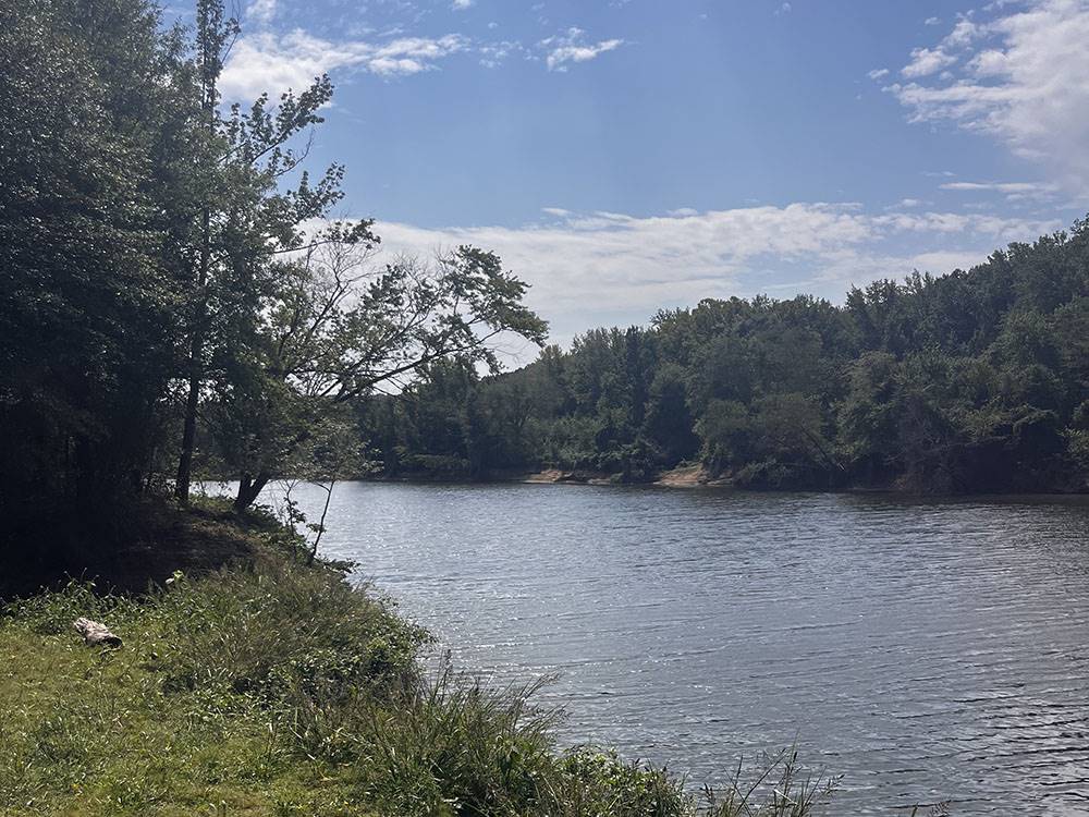 Grassy area near the water