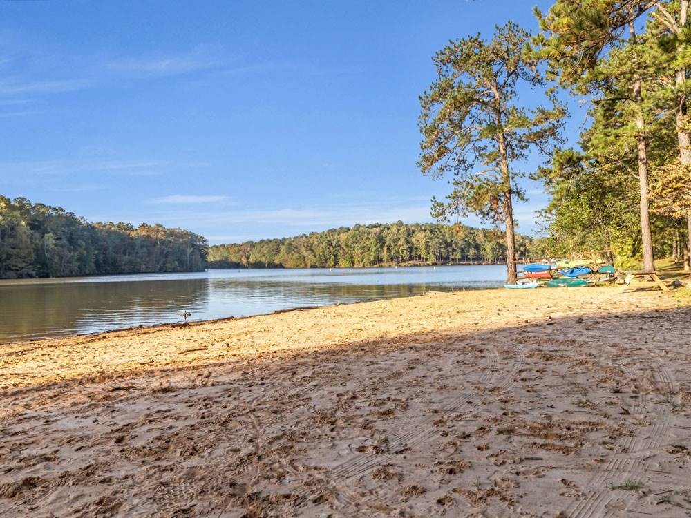 The sandy banks of the lake