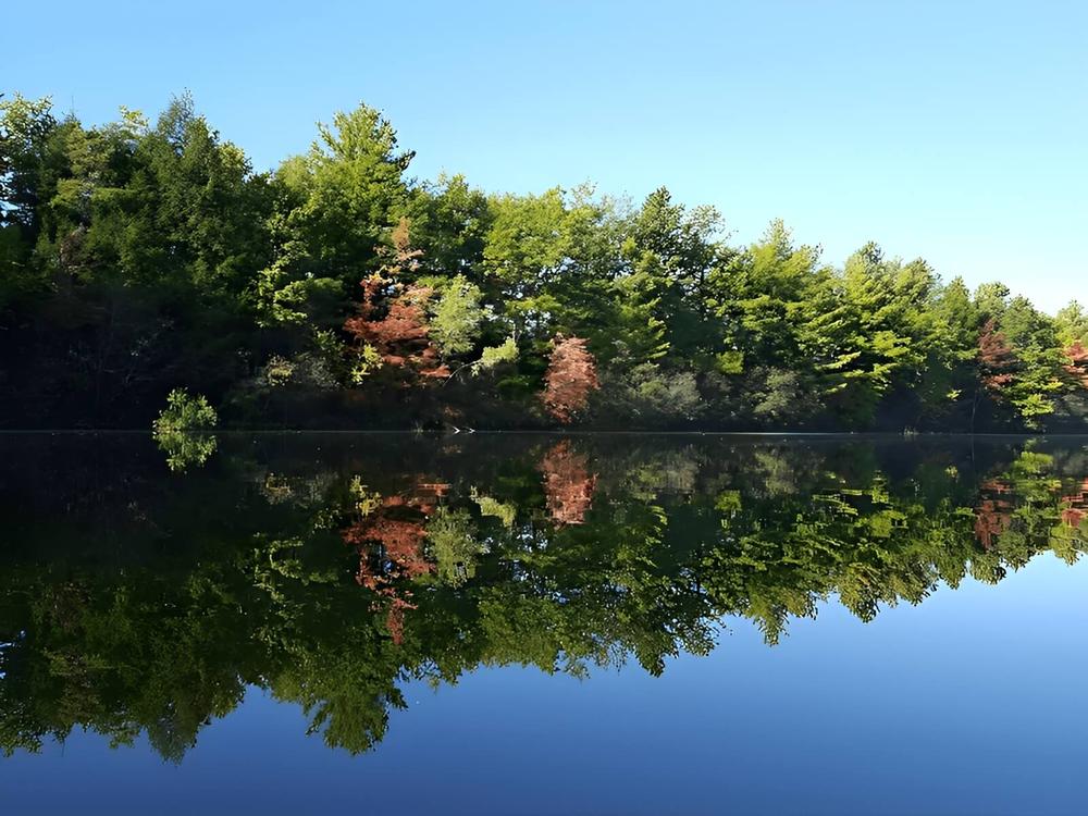 Mascoma Lake Campground 5