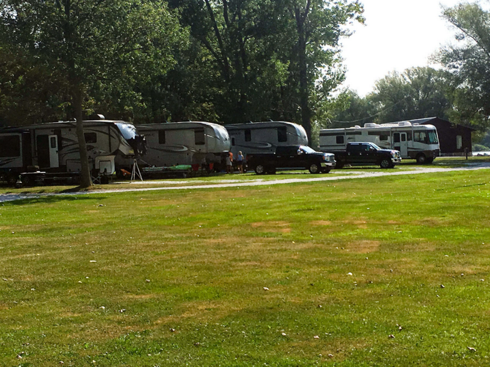 Grassy area by sites