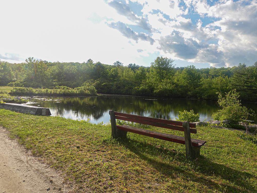 A bench overlooking the pond