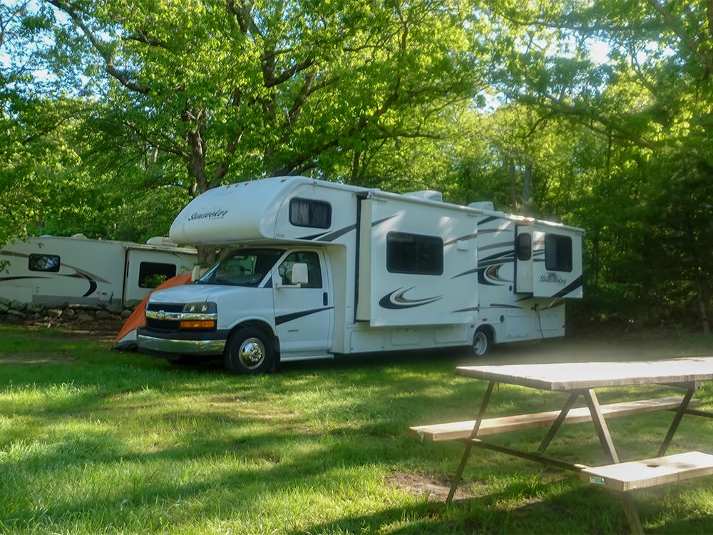 An RV parked in a shady site