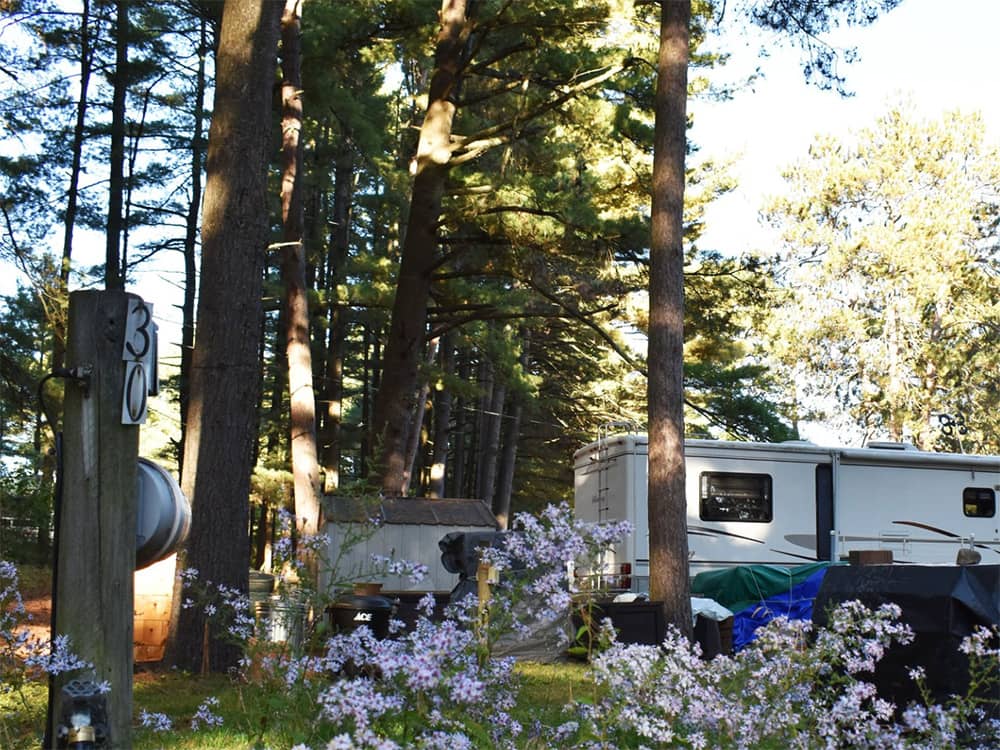 Campground Image
