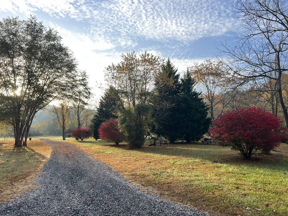 Persimmon Creek RV Park 4