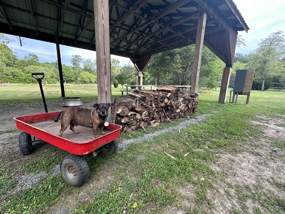 Persimmon Creek RV Park 6