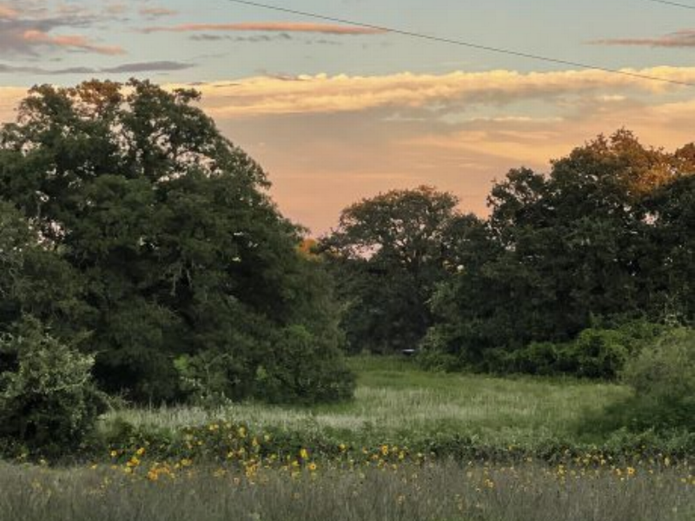 Sunset through the trees at Arrow RV Park