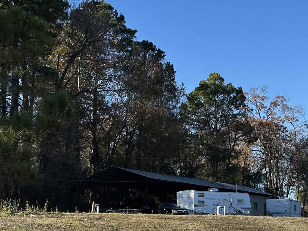 Tall trees by sites The Barn RV Park