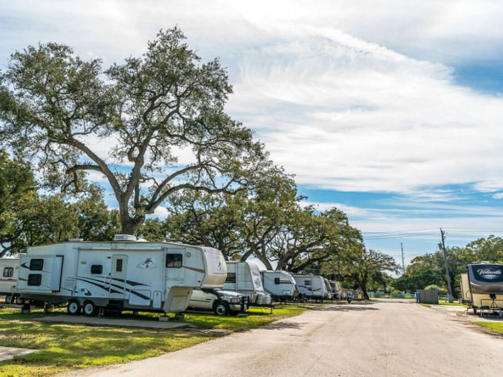 Row of sites at Plantation Oaks RV Park