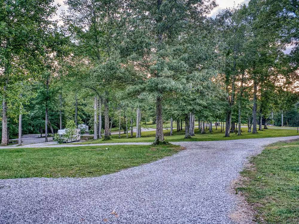 Gravel sites surrounded by trees