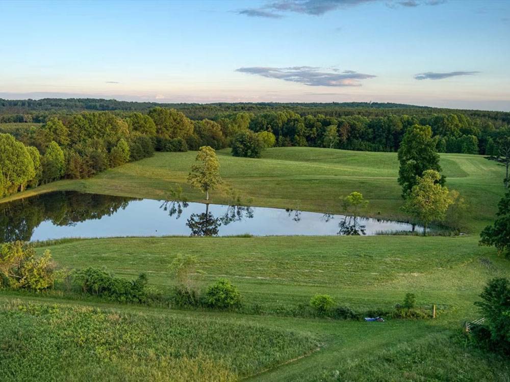 Grassy area near the water