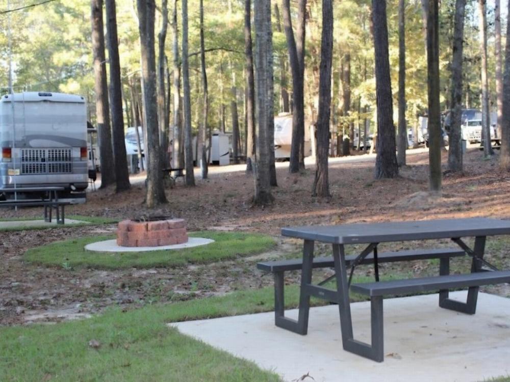 Panic area at site Sleepy Hollow RV Park