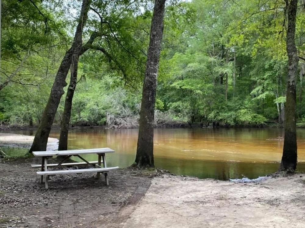 Panic table with lake view at Ohoopee River Campground