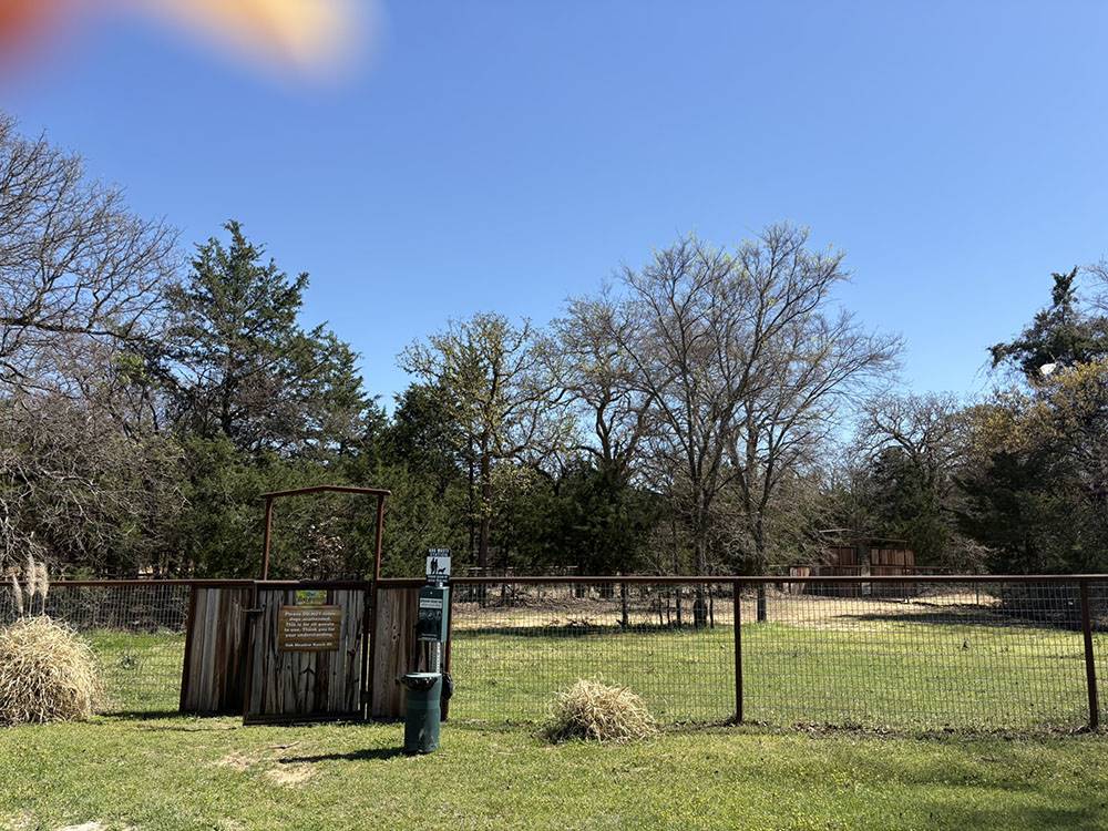 The dog run
