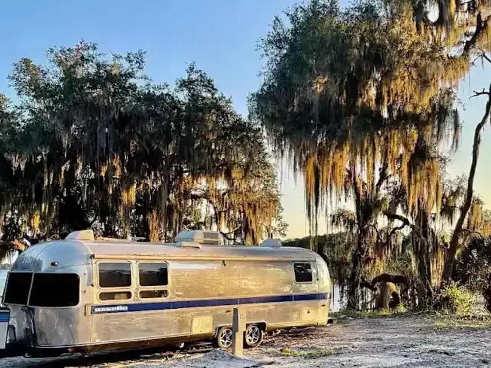 Trailer parked under trees at Shell Harbour RV Resort