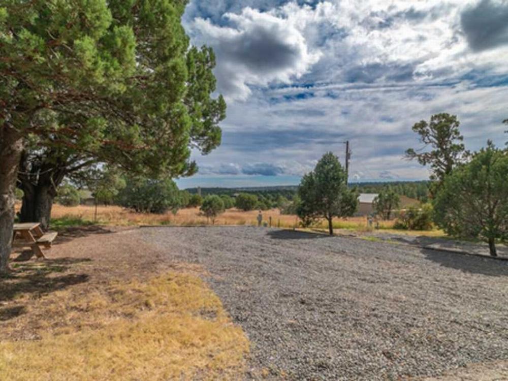 Open RV space at site Elk Run RV Park and Cabins