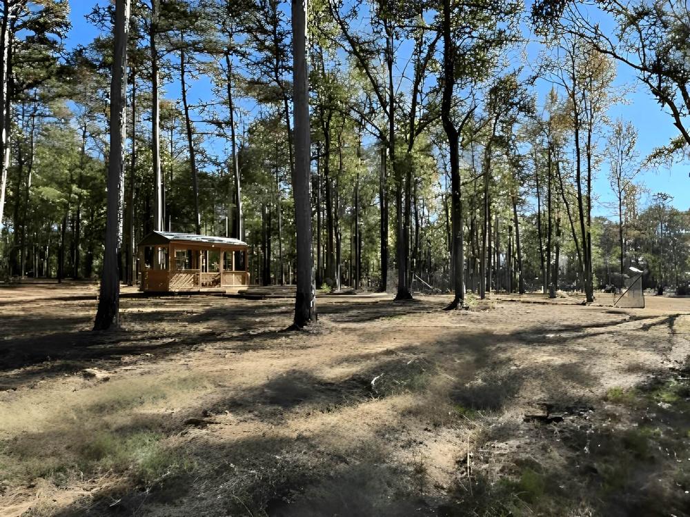 Cabin is wooded area at Bigfoot Adventure Luxury RV Resort