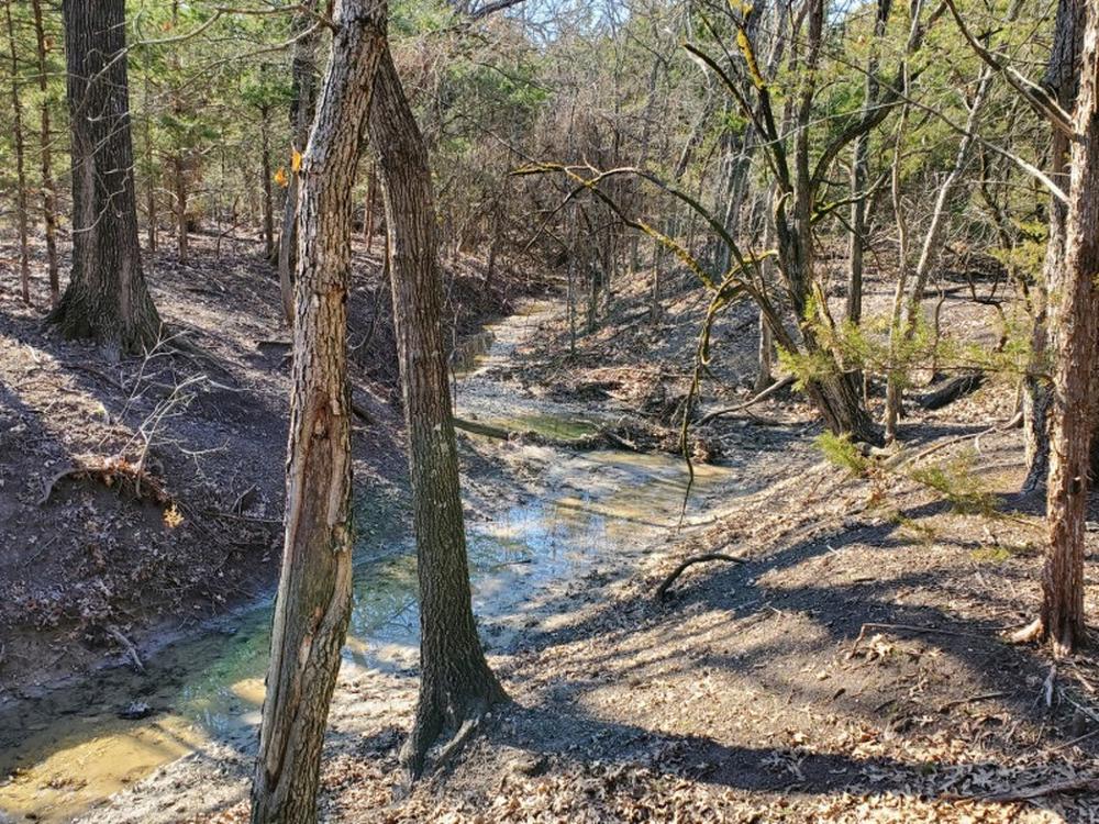 Creek at Creek Crossing RV Park