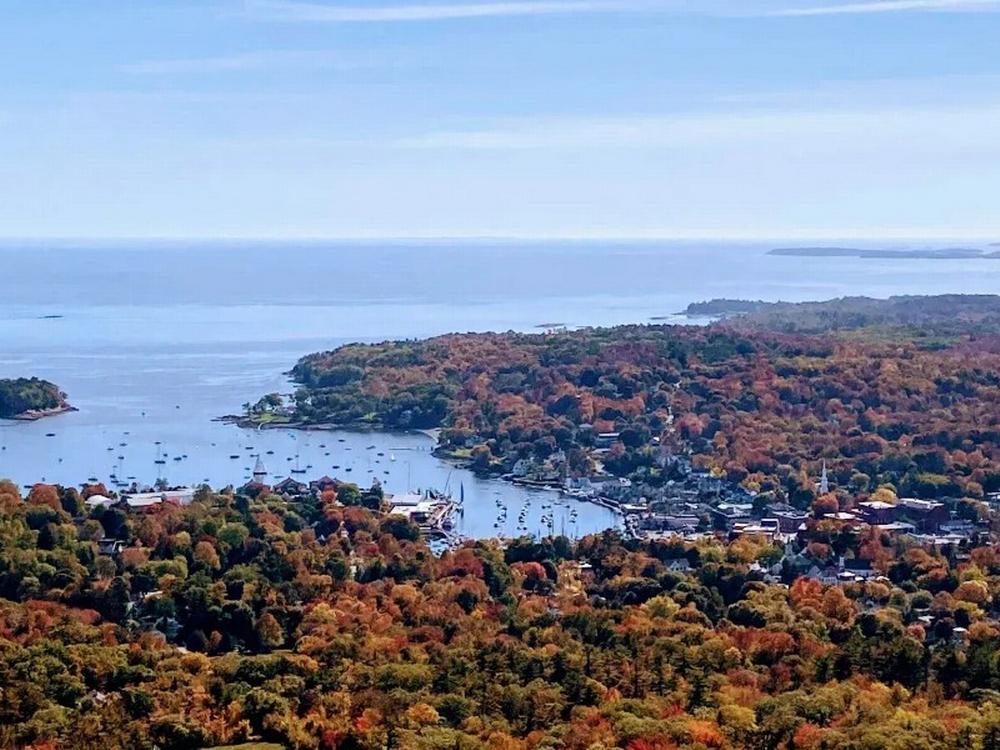 Overhead view at site Pine Grove Cottages