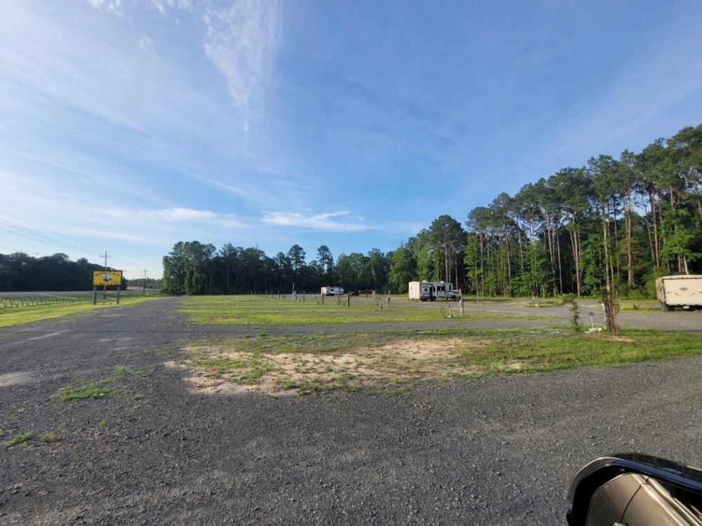 Open RV spaces at site Buffalo Run RV Park