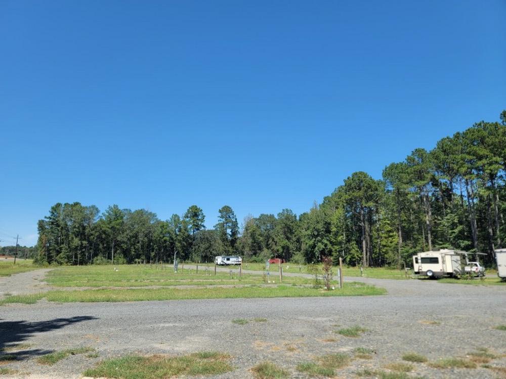 Parked trailer's next to open RV spaces at Buffalo Run RV Park