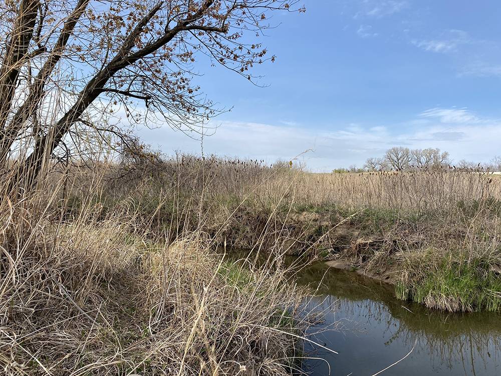 Trees and landscape near water nearby