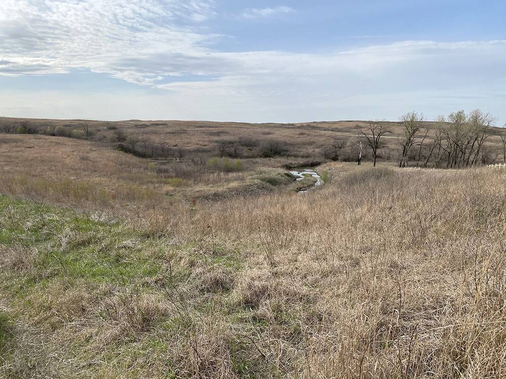 Nature scenes nearby