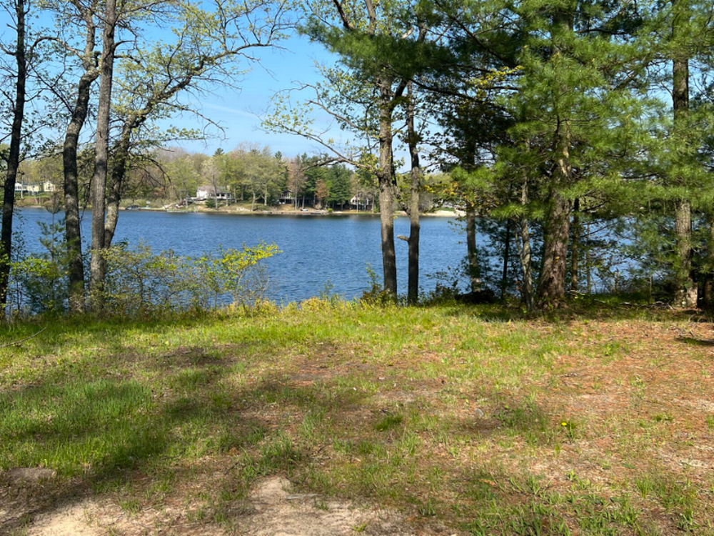 Grassy site at Camp Deer Trails