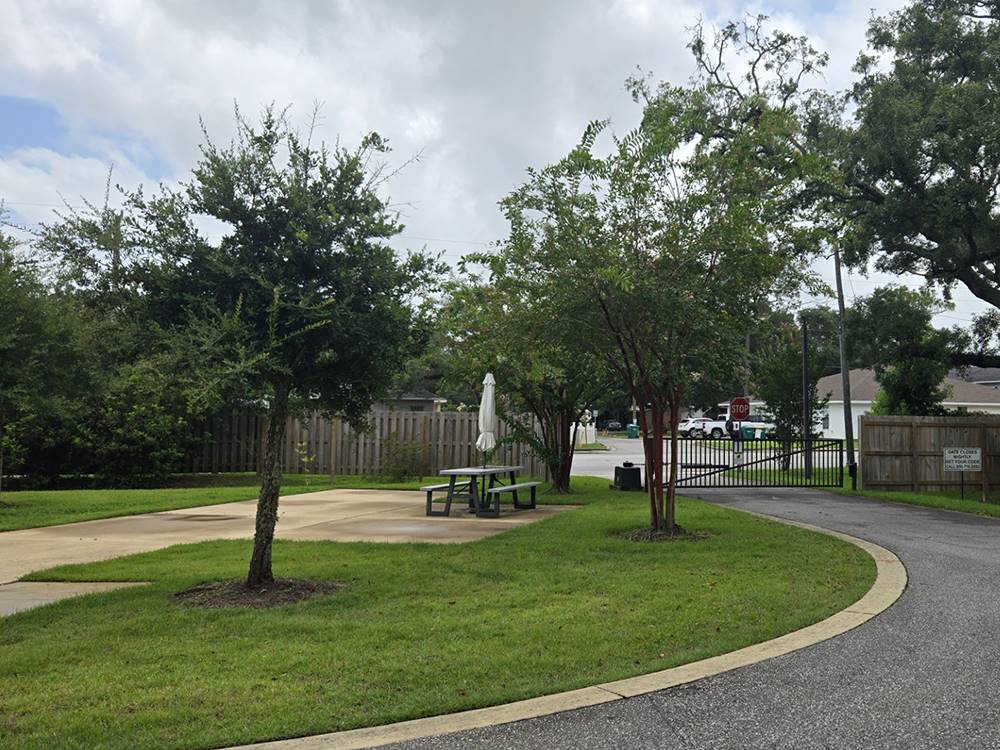 Grassy area near sites