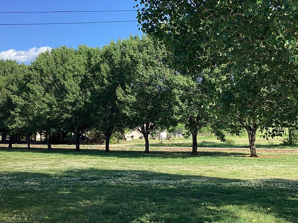 Riverchase MHP Park 6